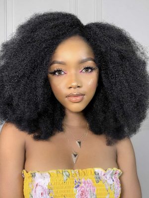 4C KINKY WIG | AFROCENTRIC HAIR | ALL THINGS SAVVY