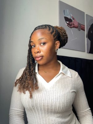 Afro Kinky Bulk Braiding Hair ~ Mini Twists, Locs, Crochet Wigs